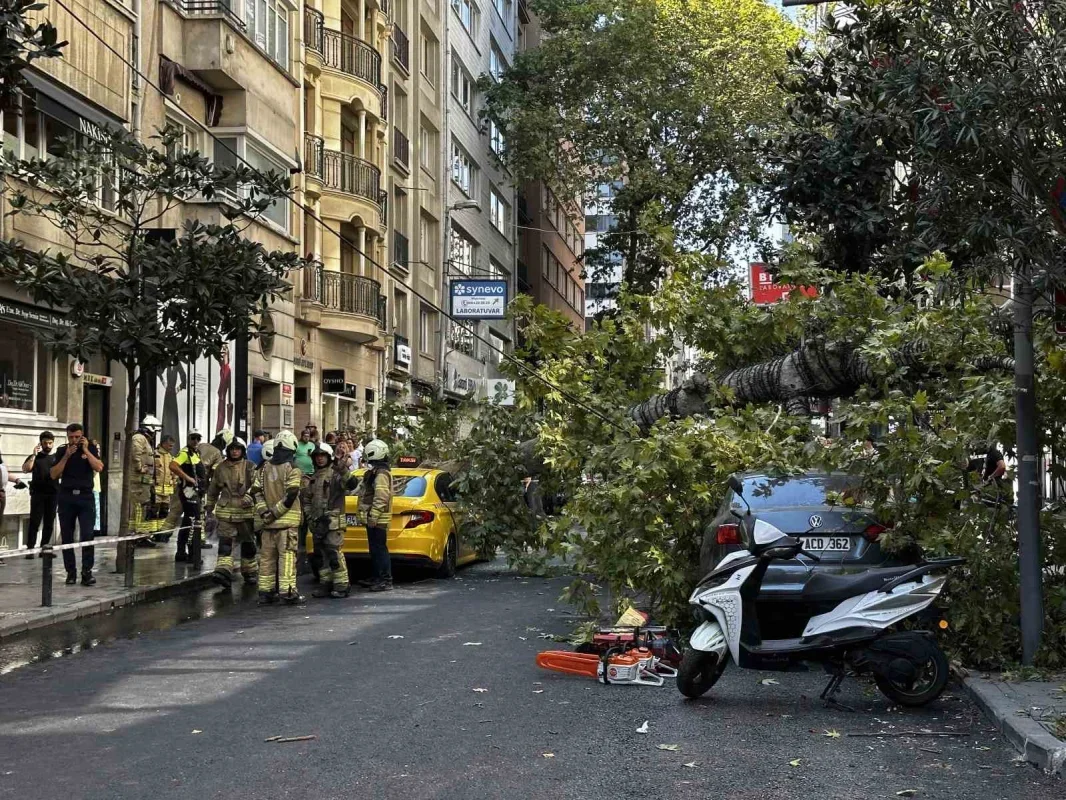 Şişli'de çınar ağacı 2 aracın üzerine devrildi