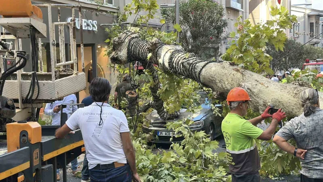 Şişli'de çınar ağacı 2 aracın üzerine devrildi