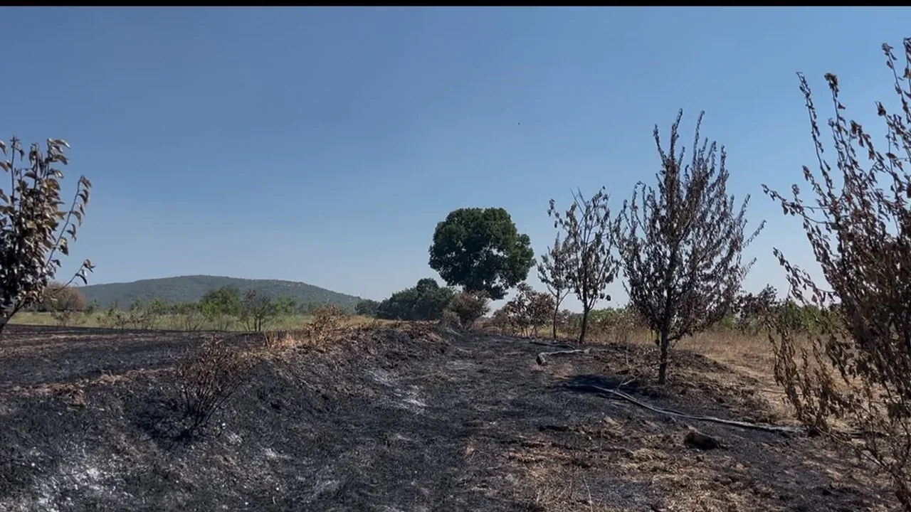 Hanife Tiryaki yangına koştu: KOAH hastası alevlere müdahale etti
