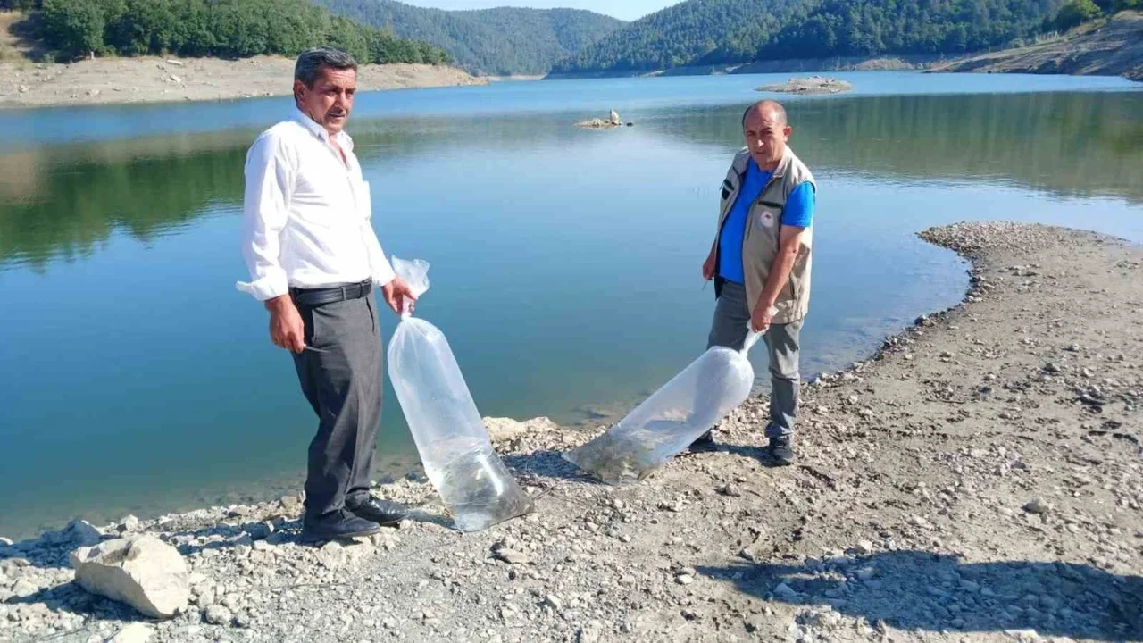 Orhaneli'de göletlere sazan yavruları bırakıldı