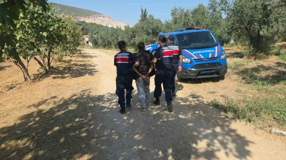 Bursa'da çalıntı araç kovalamacası zeytinlikte sona erdi