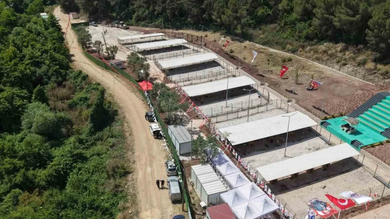 Bursa Hayvan Hakları Platformu'ndan Gemlik Belediyesi'ne tepki