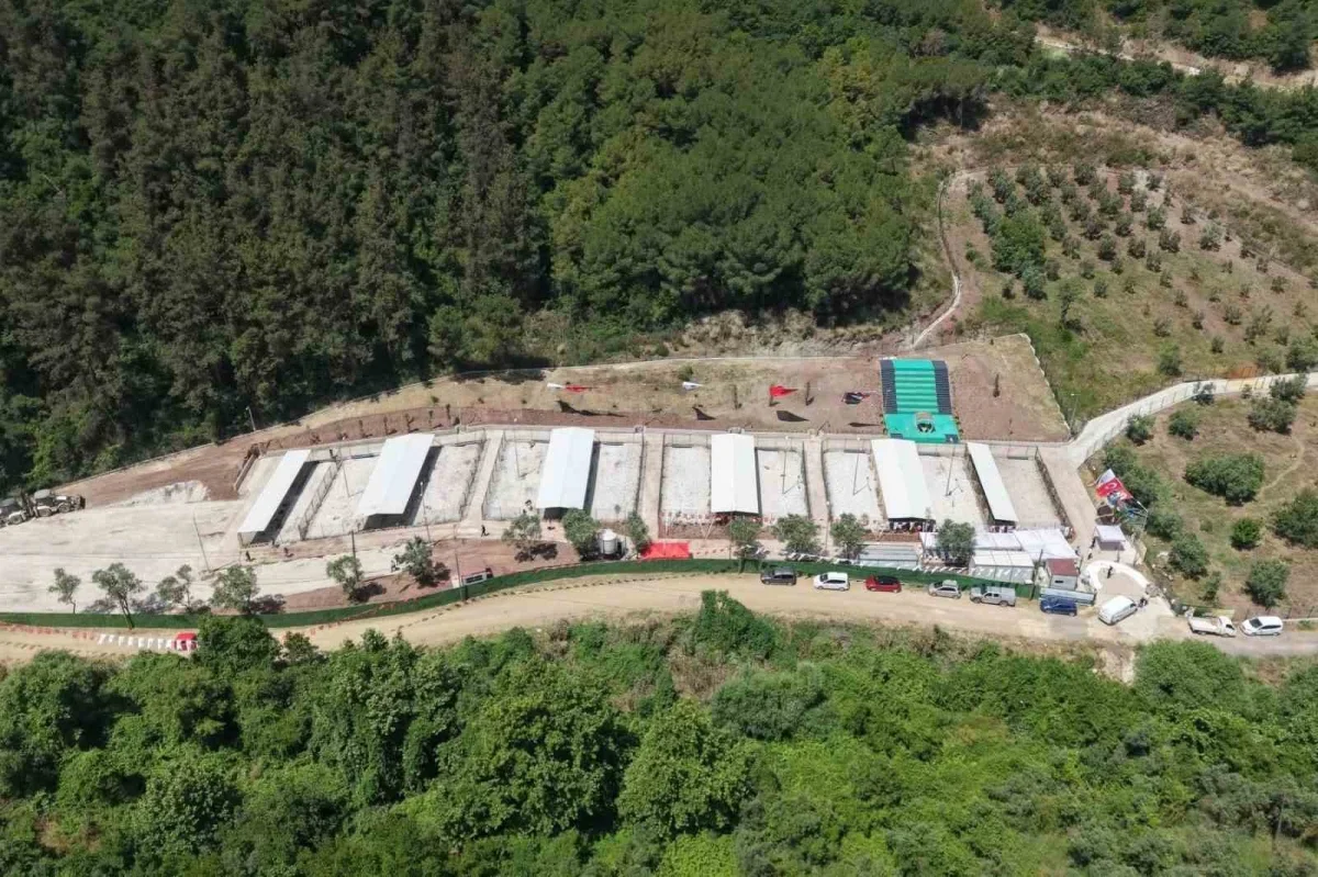 Bursa Hayvan Hakları Platformu'ndan Gemlik Belediyesi'ne tepki