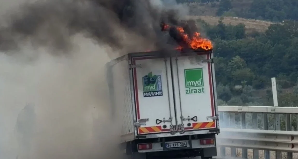 Bursa İznik'te seyir halindeki kamyonet alev alev yandı