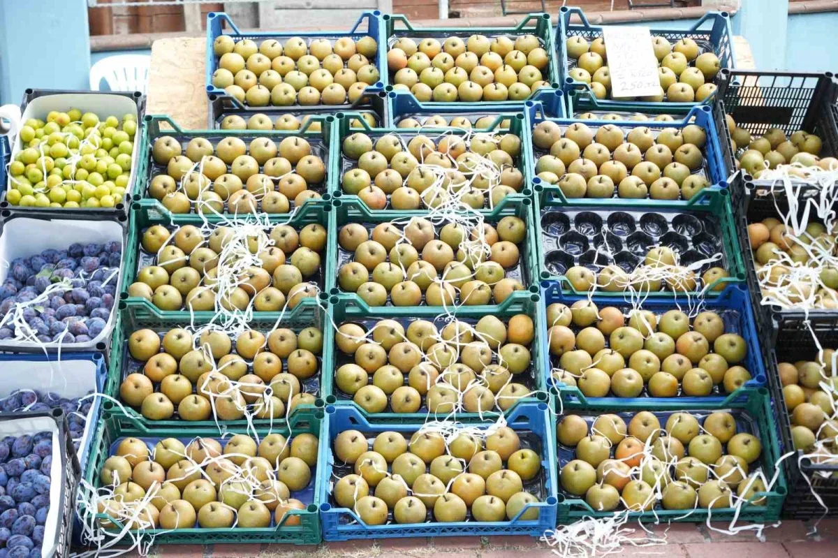Kartepe Armut Şenliği'nde yöresel lezzetler ve üreticiler buluştu