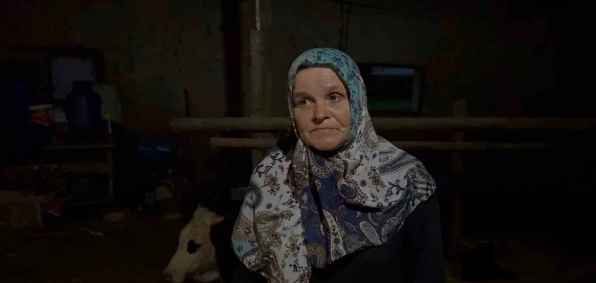 Bahçesine giren dananın kuyruğunu baltayla kesti iddiası