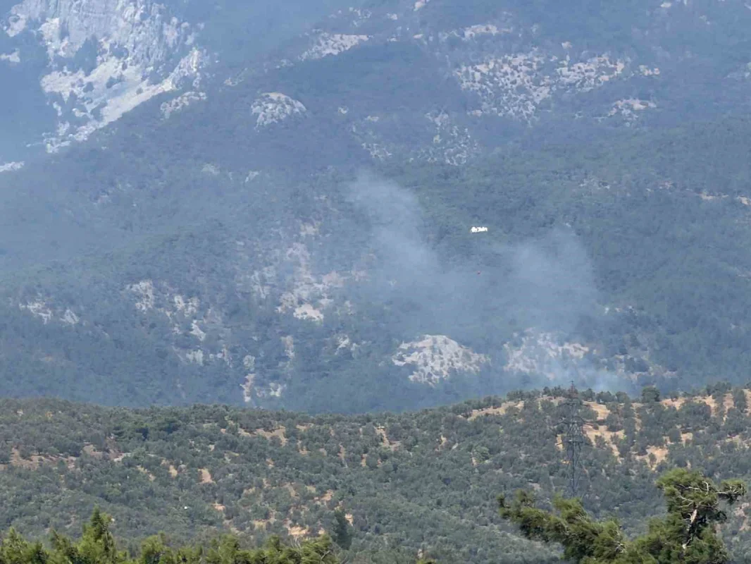 Kazdağı Milli Parkı'nda yangın: Zeytinlikten ormana sıçradı