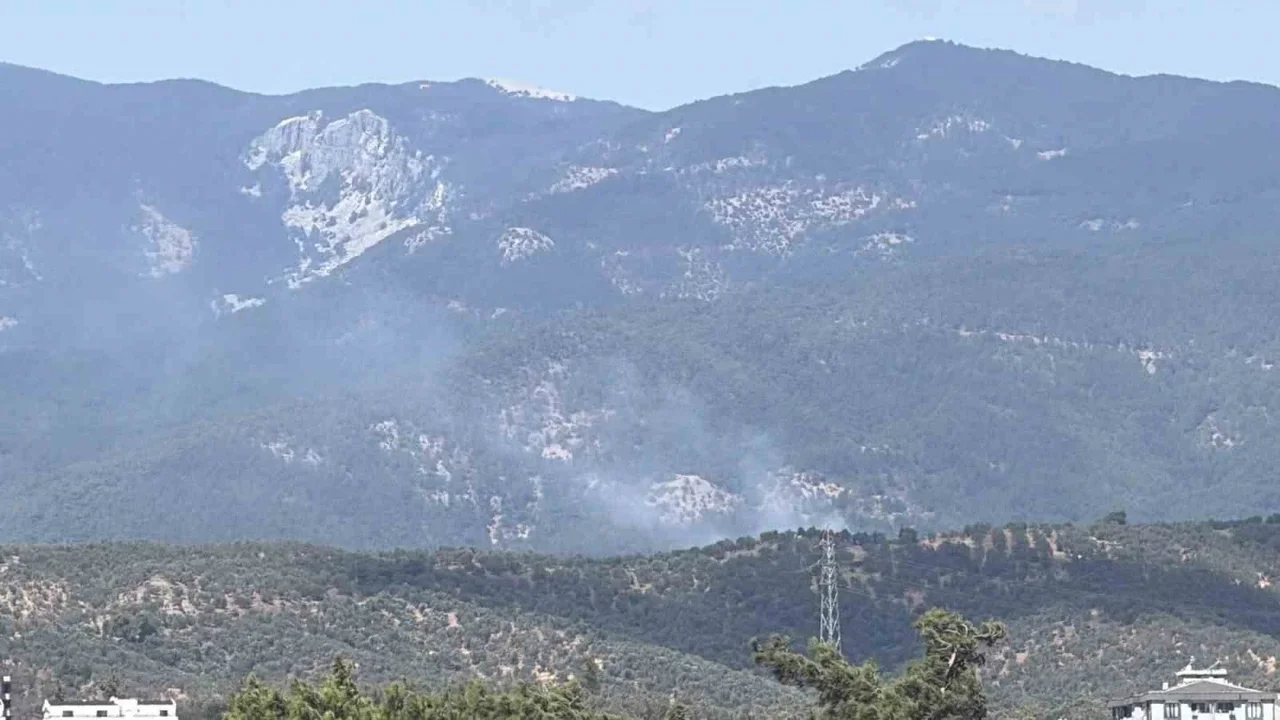 Kazdağı Milli Parkı'nda yangın: Zeytinlikten ormana sıçradı