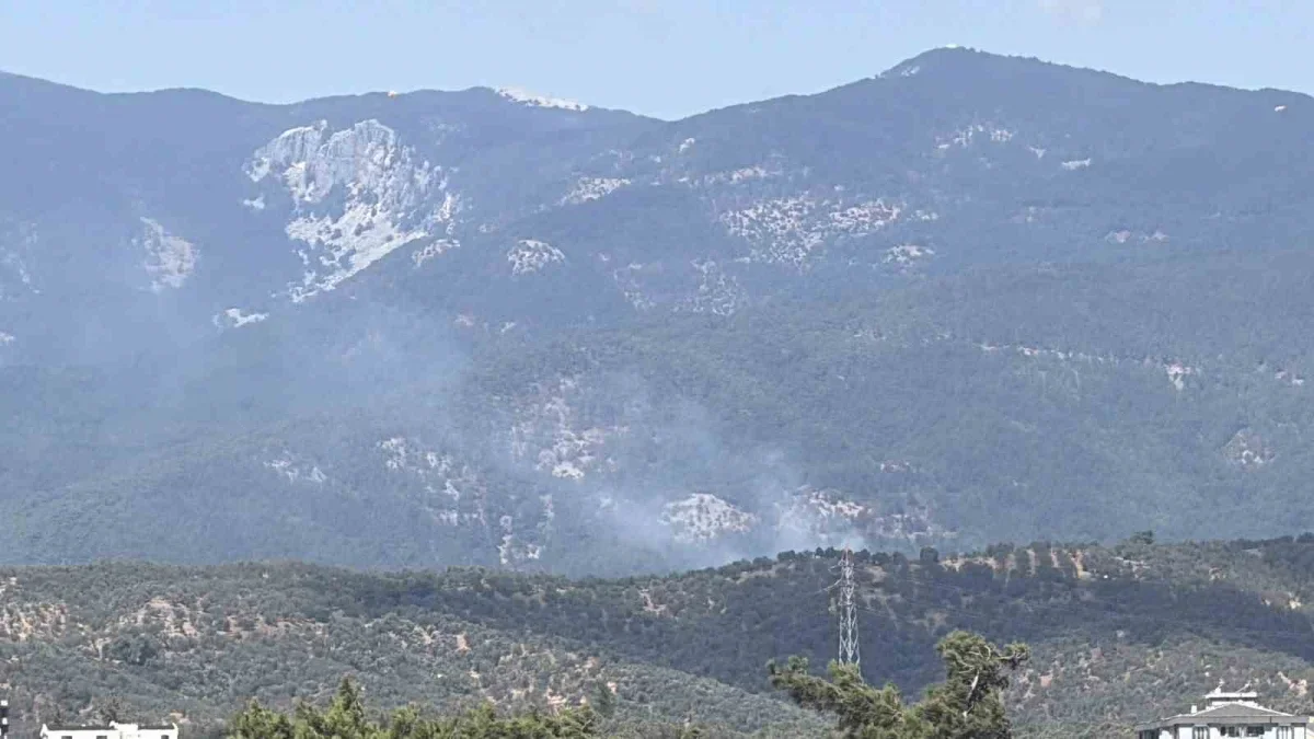 Kazdağı Milli Parkı'nda yangın: Zeytinlikten ormana sıçradı