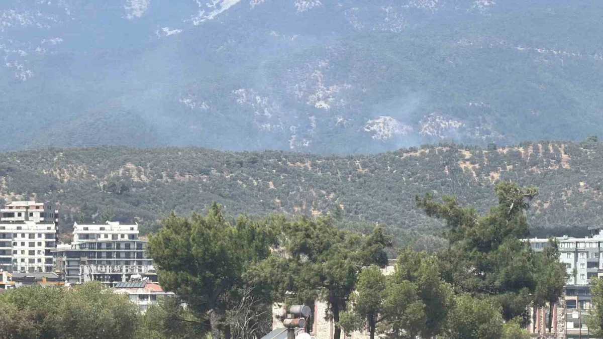 Kazdağı Milli Parkı'nda yangın: Zeytinlikten ormana sıçradı