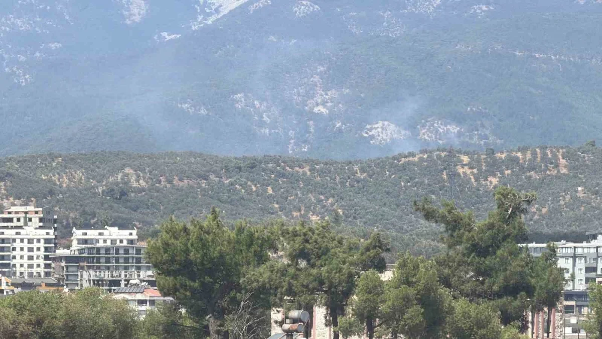 Kazdağı Milli Parkı'nda yangın: Zeytinlikten ormana sıçradı