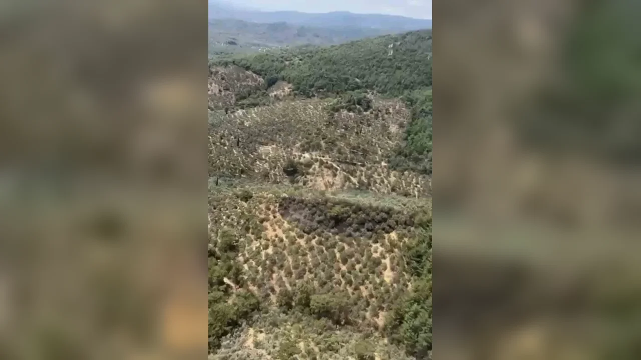 Edremit'teki yangın kontrol altına alındı: 2 helikopter sevk edildi