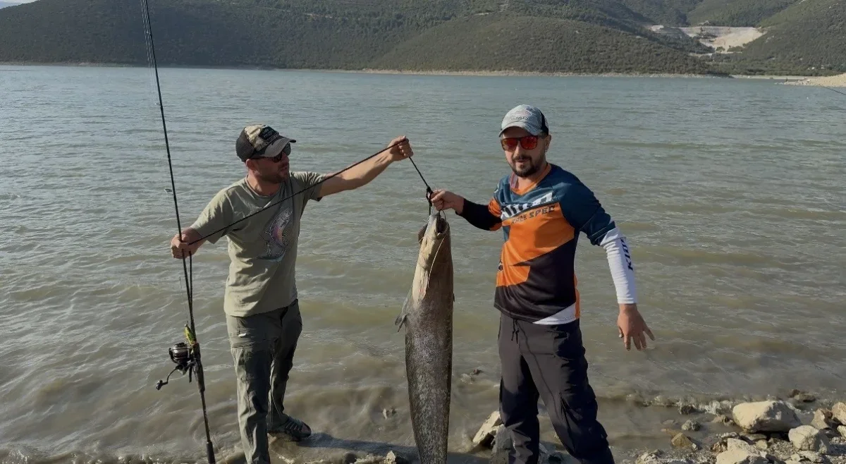 Kestel'de turna avı sürprizi: Oltaya 127 santimlik yayın takıldı