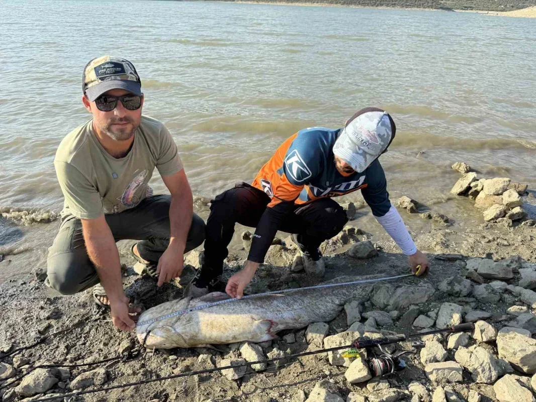 Kestel'de turna avı sürprizi: Oltaya 127 santimlik yayın takıldı