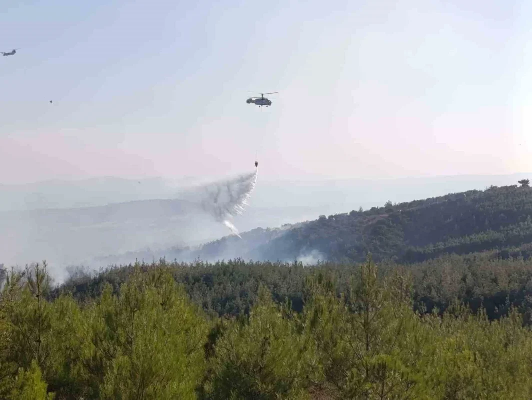 Bayramiç'teki orman yangını büyük ölçüde kontrol altında