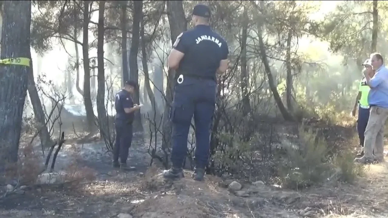 Bayramiç'teki orman yangını büyük ölçüde kontrol altında