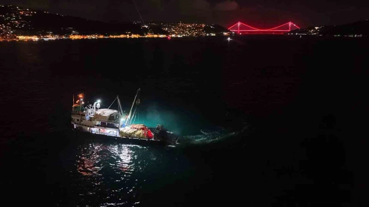 İstanbul'da 2026-2027 balıkçılık av sezonu 1 Eylül'de açıldı