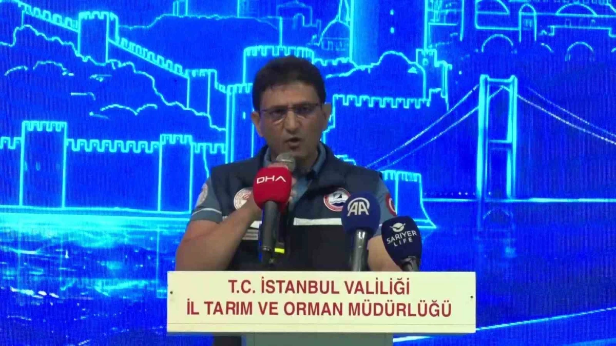 İstanbul'da 2026-2027 balıkçılık av sezonu 1 Eylül'de açıldı