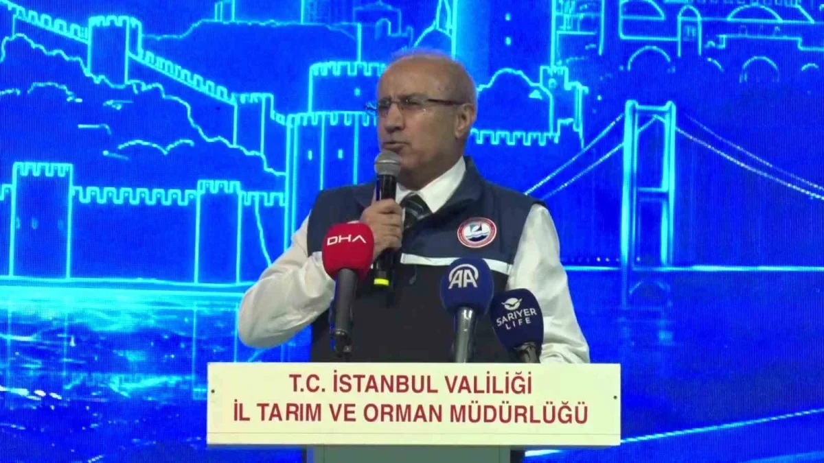 İstanbul'da 2026-2027 balıkçılık av sezonu 1 Eylül'de açıldı