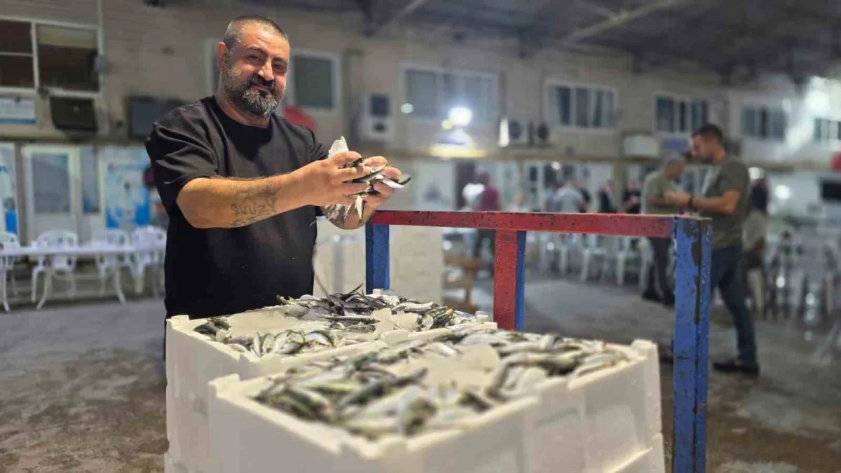 Bandırma Balık Hali'nde sezonun ilk sardalyası tezgâha geldi