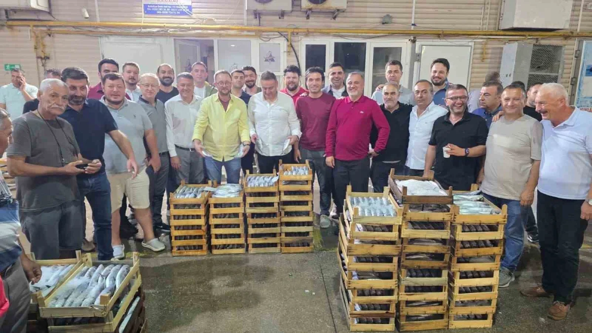 Bandırma Balık Hali'nde sezonun ilk sardalyası tezgâha geldi