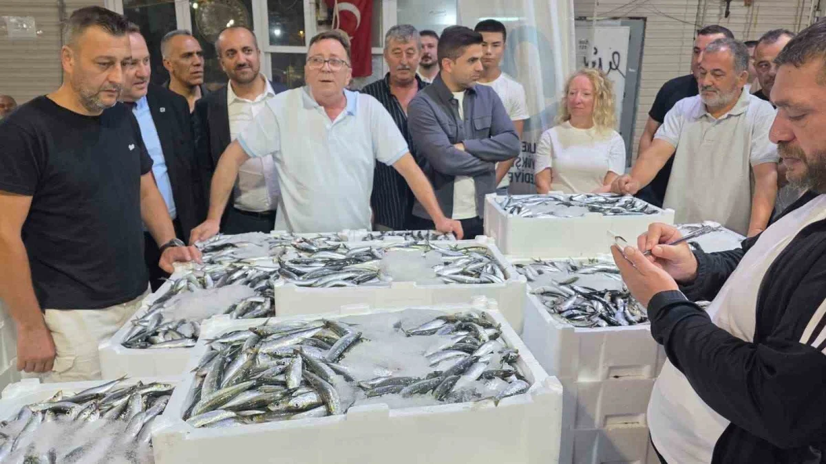 Bandırma Balık Hali'nde sezonun ilk sardalyası tezgâha geldi