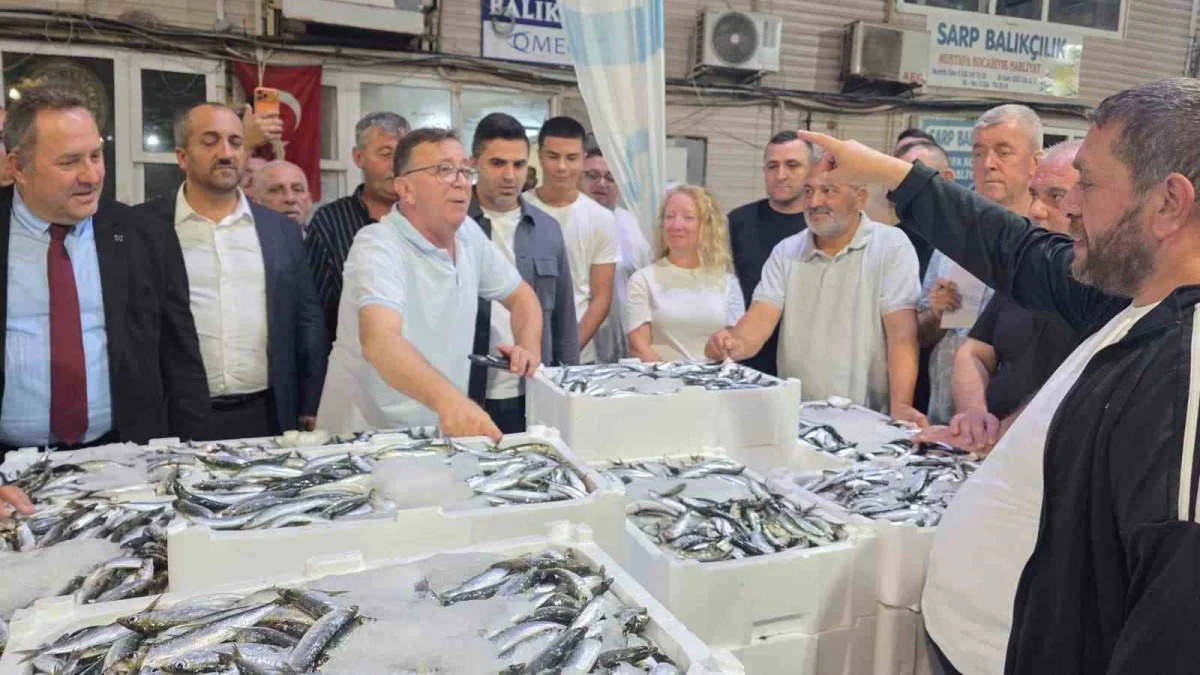 Bandırma Balık Hali'nde sezonun ilk sardalyası tezgâha geldi