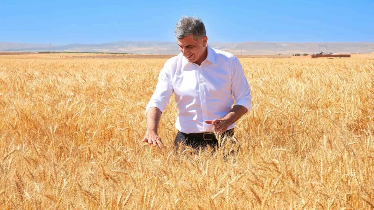 ETİ'nin Kanatlı Buğdayı'nda ilk tohumluk hasadı tamamlandı