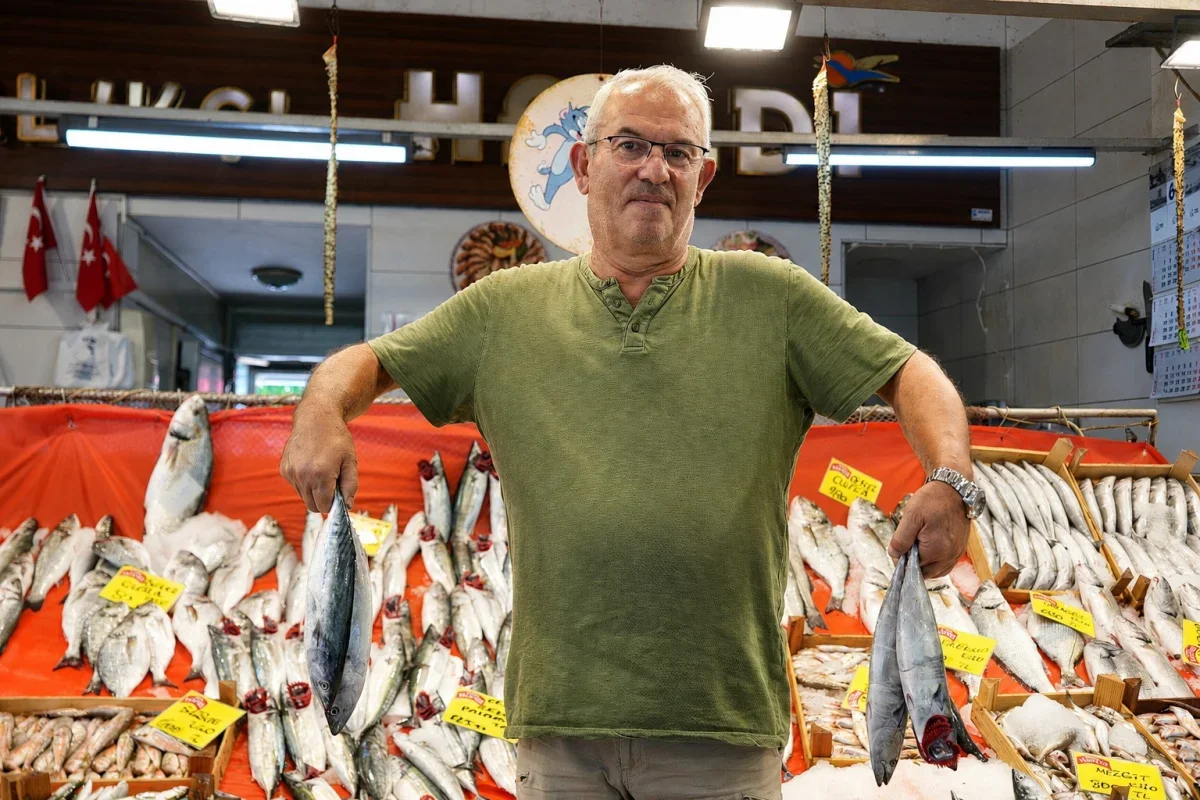 Kocaeli'de balık sezonu palamut bolluğuyla başladı