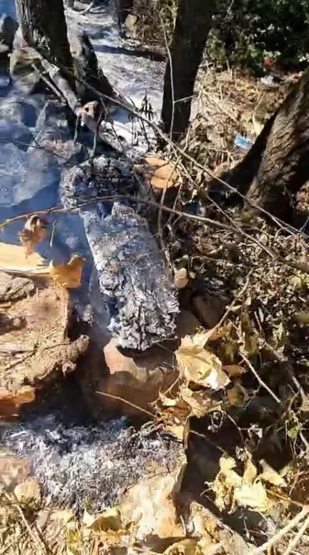 Bursa Keles'te orman yangını mahalleli sayesinde büyümeden söndü
