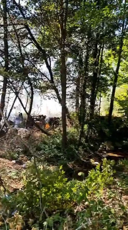 Bursa Keles'te orman yangını mahalleli sayesinde büyümeden söndü