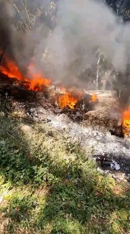 Bursa Keles'te orman yangını mahalleli sayesinde büyümeden söndü