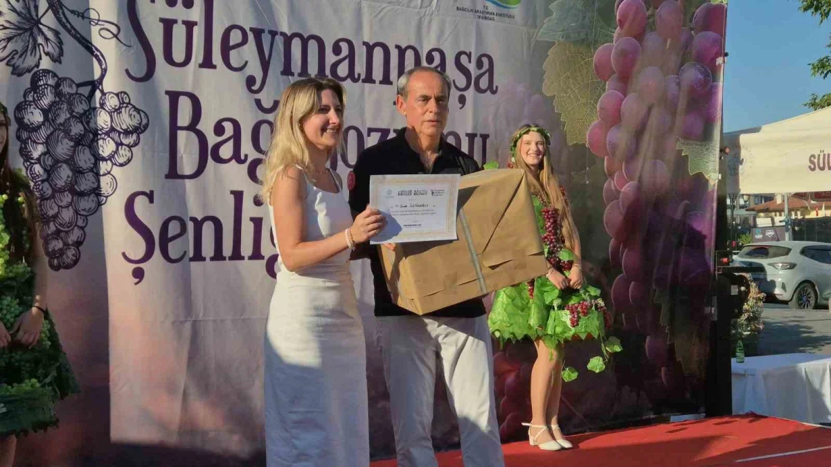 Süleymanpaşa'da Zeytinyağlı Sarma ve Üzümlü Tatlı Yarışması
