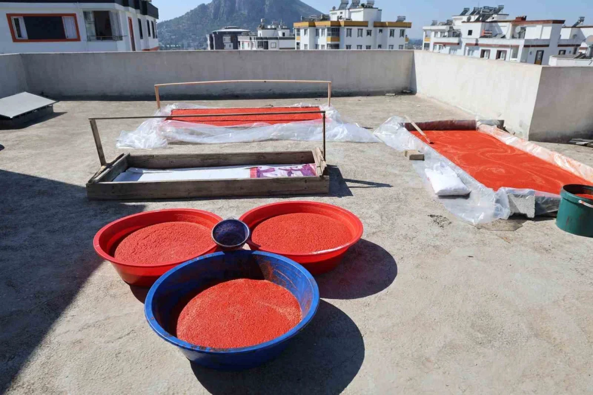 Kozan'da salça sezonu başladı: Damlar türkülerle kırmızıya büründü