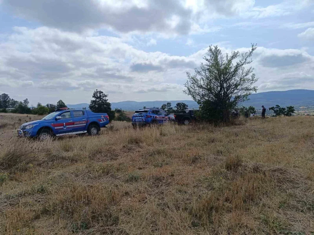 Bilecik'te NATO petrol boru hattı iş makinesiyle hasar gördü