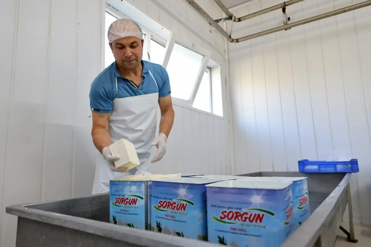 Keles Sorgun peyniri coğrafi işaret aldı: Bursa'ya yeni tescil