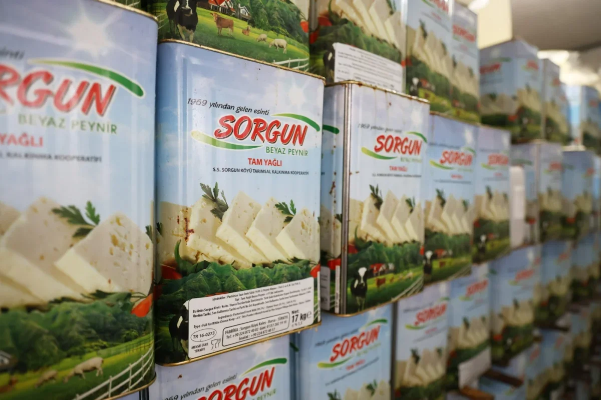 Keles Sorgun peyniri coğrafi işaret aldı: Bursa'ya yeni tescil