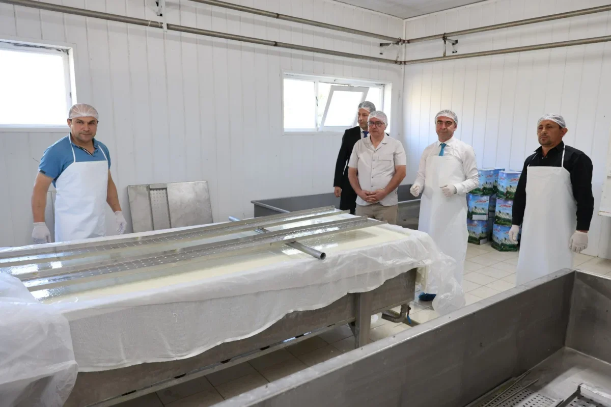 Keles Sorgun peyniri coğrafi işaret aldı: Bursa'ya yeni tescil