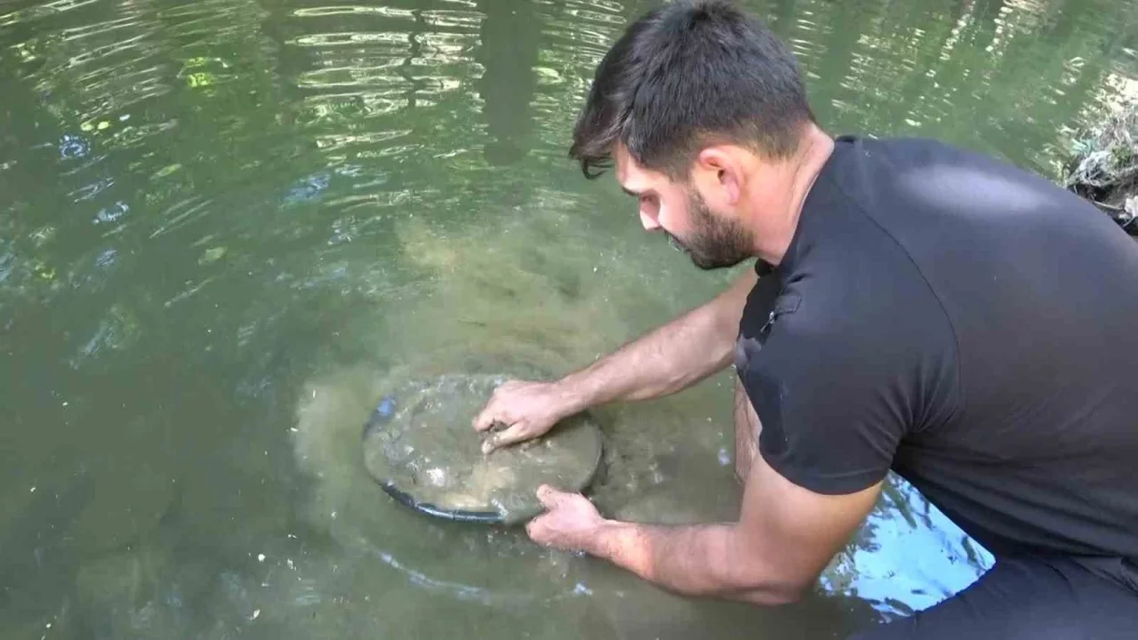 Emre Aydın derelerde altın arıyor: Günde 5 gram çıkarıyor