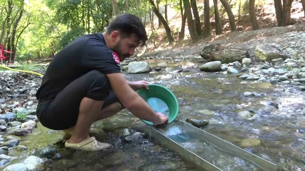 Emre Aydın derelerde altın arıyor: Günde 5 gram çıkarıyor