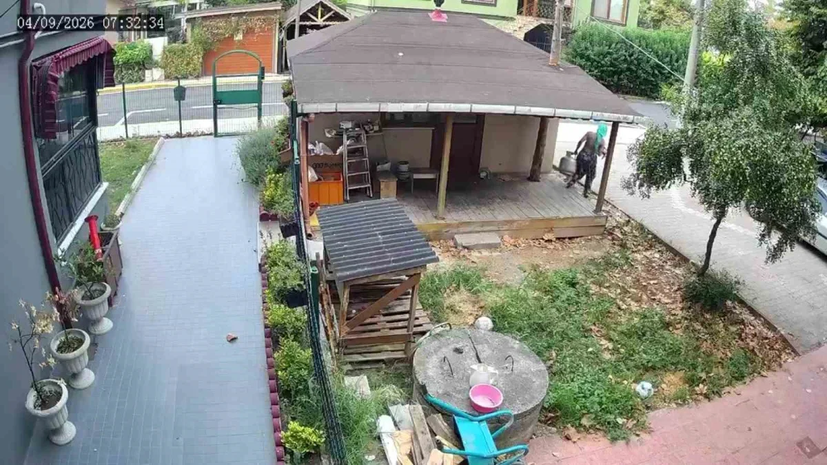 Başiskele'de hırsızlık avı kamerada: Bahçeleri tek tek gezdiler
