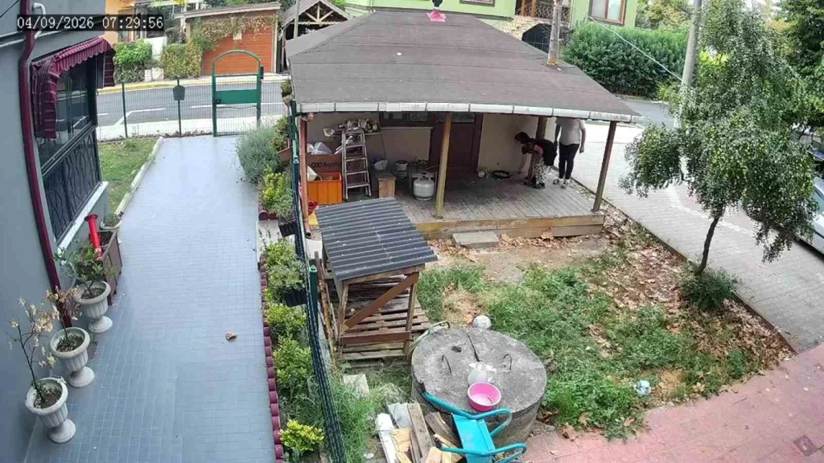 Başiskele'de hırsızlık avı kamerada: Bahçeleri tek tek gezdiler