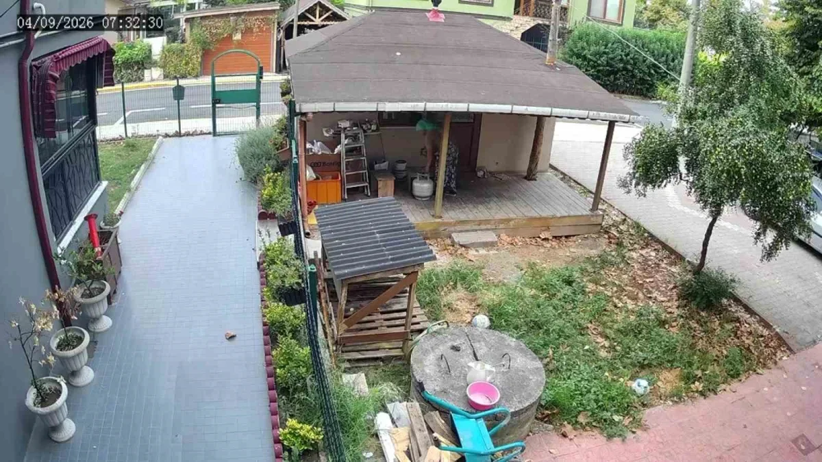 Başiskele'de hırsızlık avı kamerada: Bahçeleri tek tek gezdiler