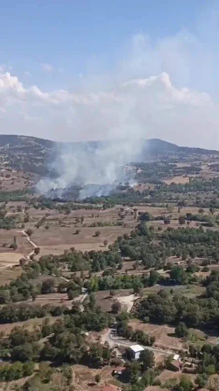 Bursa Büyükorhan'da tarım alanında başlayan yangın ormana sıçradı