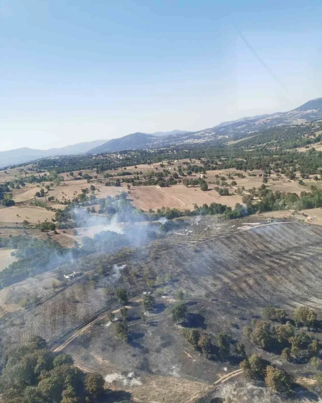 Bursa Büyükorhan'da yangın 4 helikopterle kontrol altına alındı