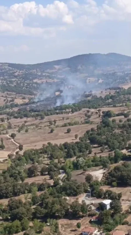 Bursa Büyükorhan'da yangın 4 helikopterle kontrol altına alındı