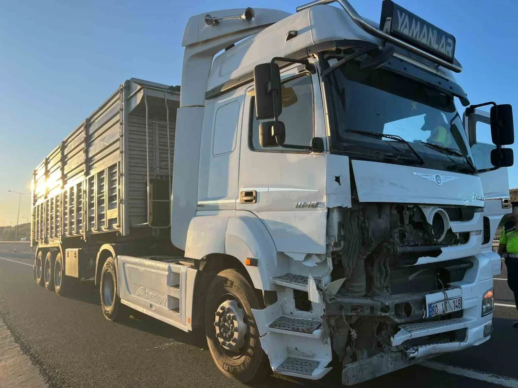 Kuzey Marmara Otoyolu'nda tır hafif ticari araca çarptı: 6 yaralı