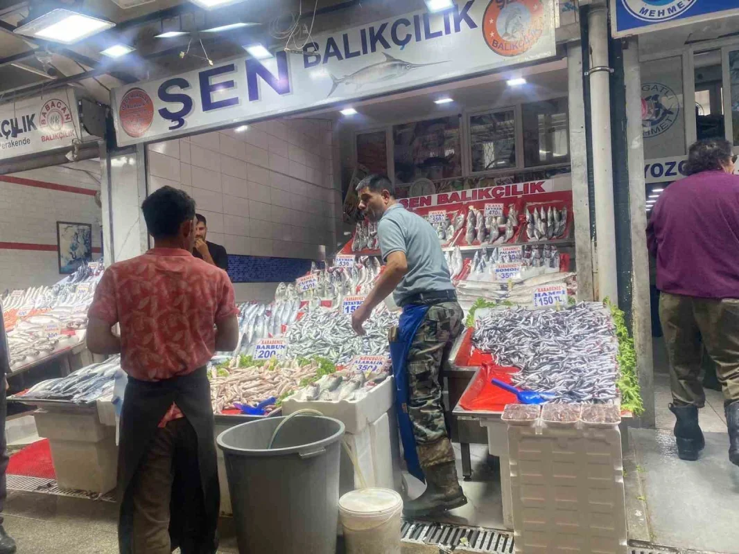 Ankara'da balık sezonu açıldı: En taze balık iddiası