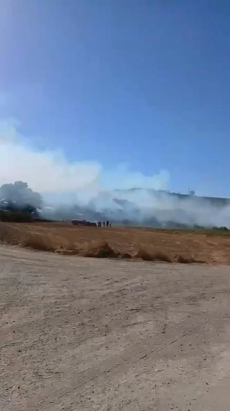 Nilüfer'de arazi yangını ekiplerin müdahalesiyle söndürüldü