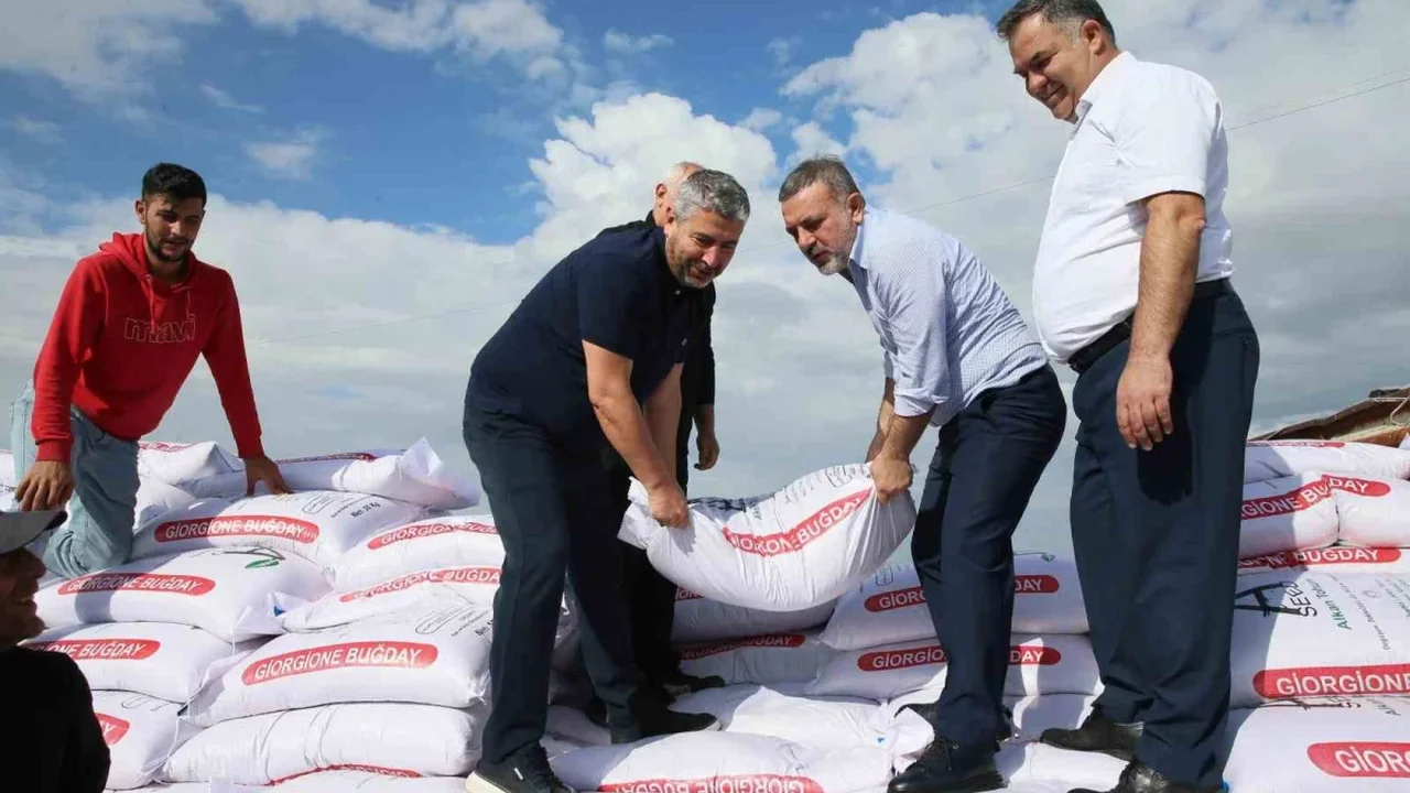 Sincan Belediyesi'nden çiftçilere yüzde 75 hibeli buğday tohumu